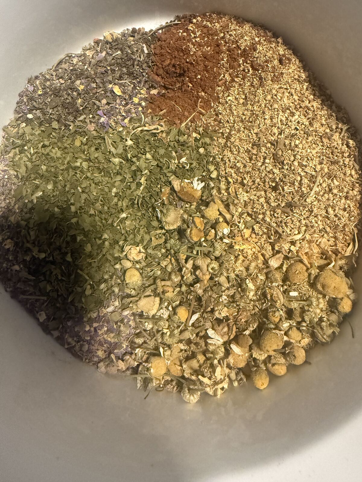 Holistic Wellness Support